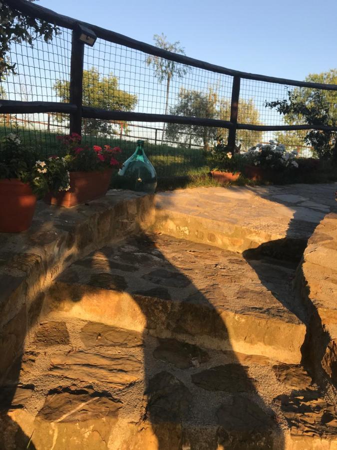 カステッリーナ・イン・キアンティ シエナ Salto Di Gattoヴィラ エクステリア 写真
